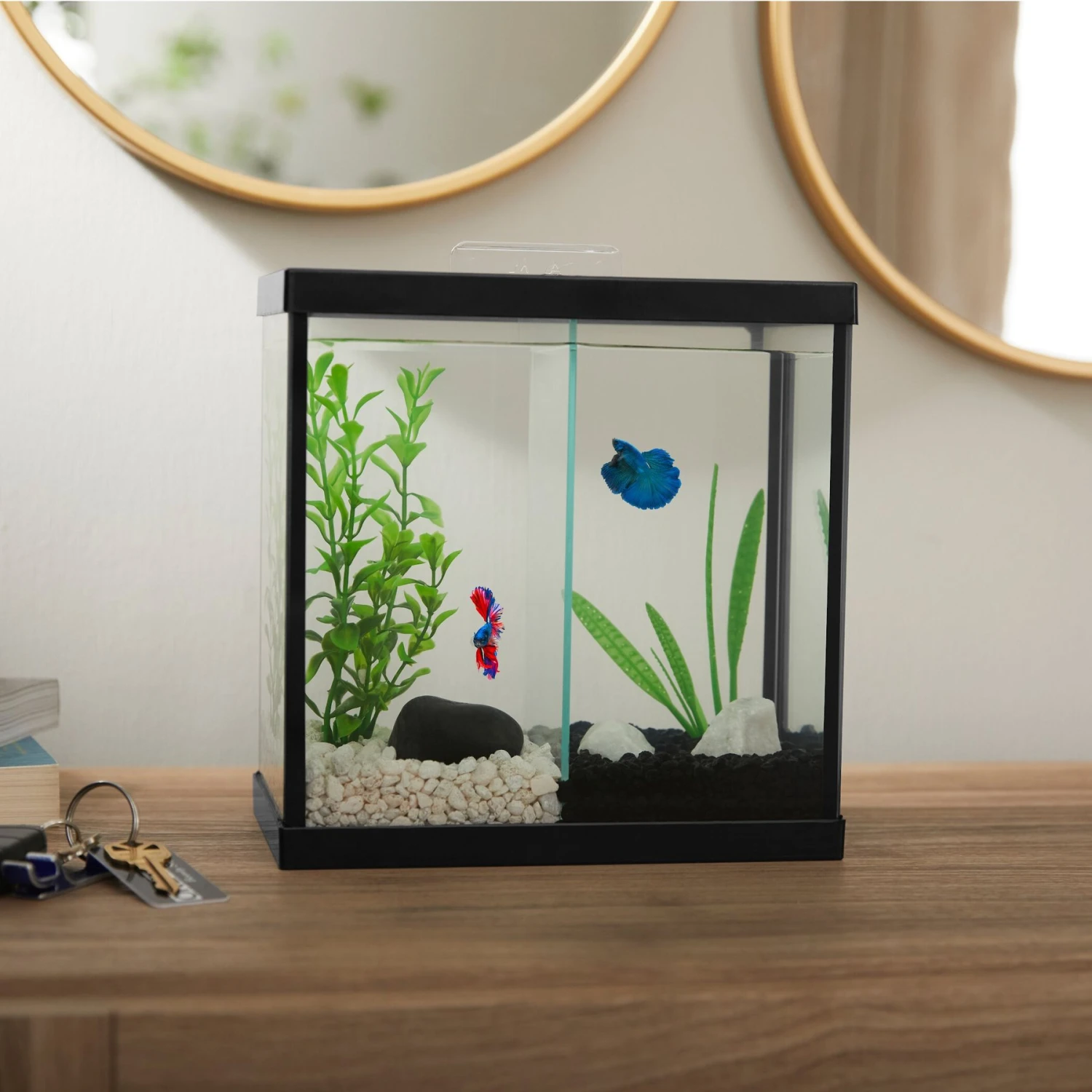 Frisco 2 Betta Aquarium With Divider/Top - Image 4