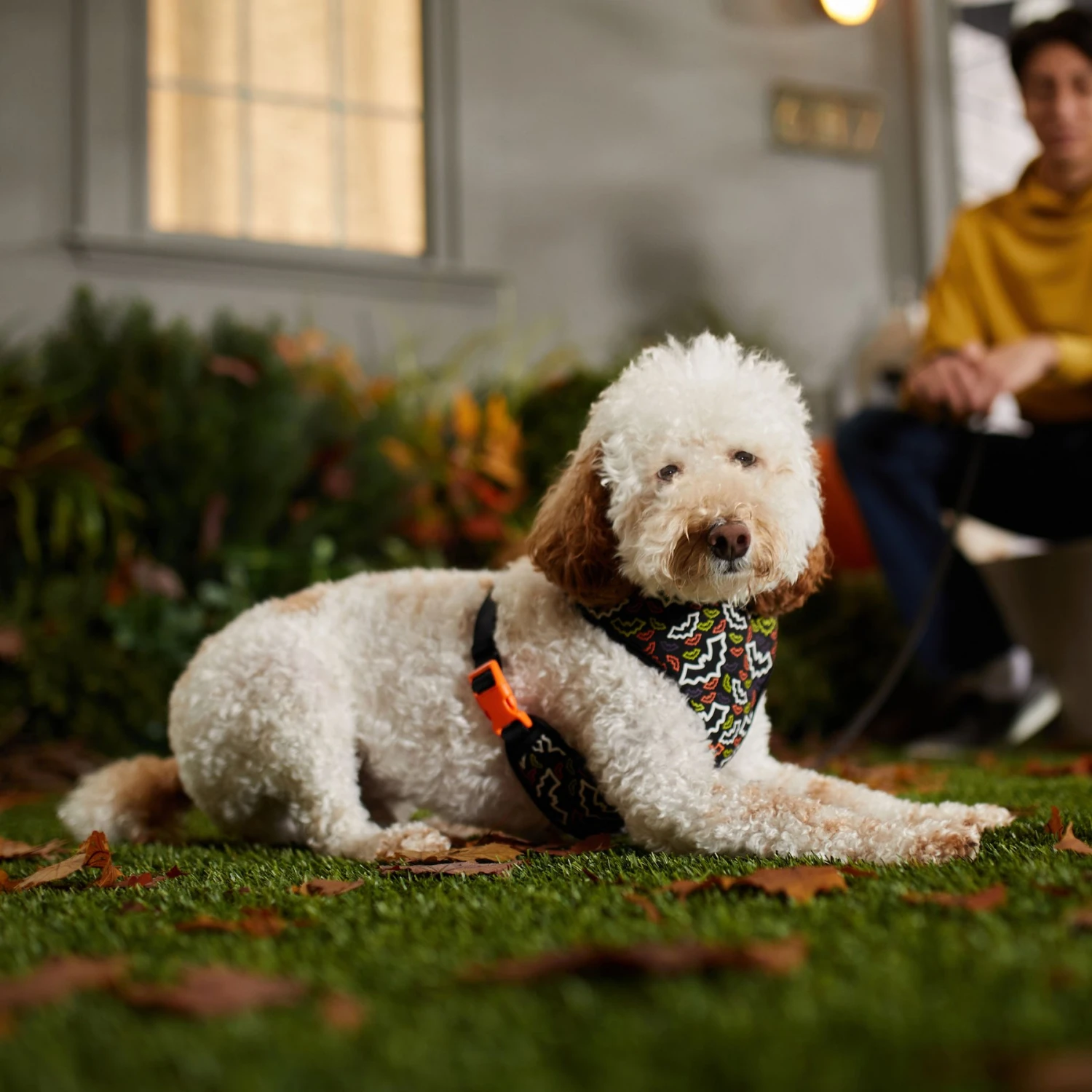 Frisco Halloween Over-The-Head Reflective Bat Wing Vest Harness - Image 6