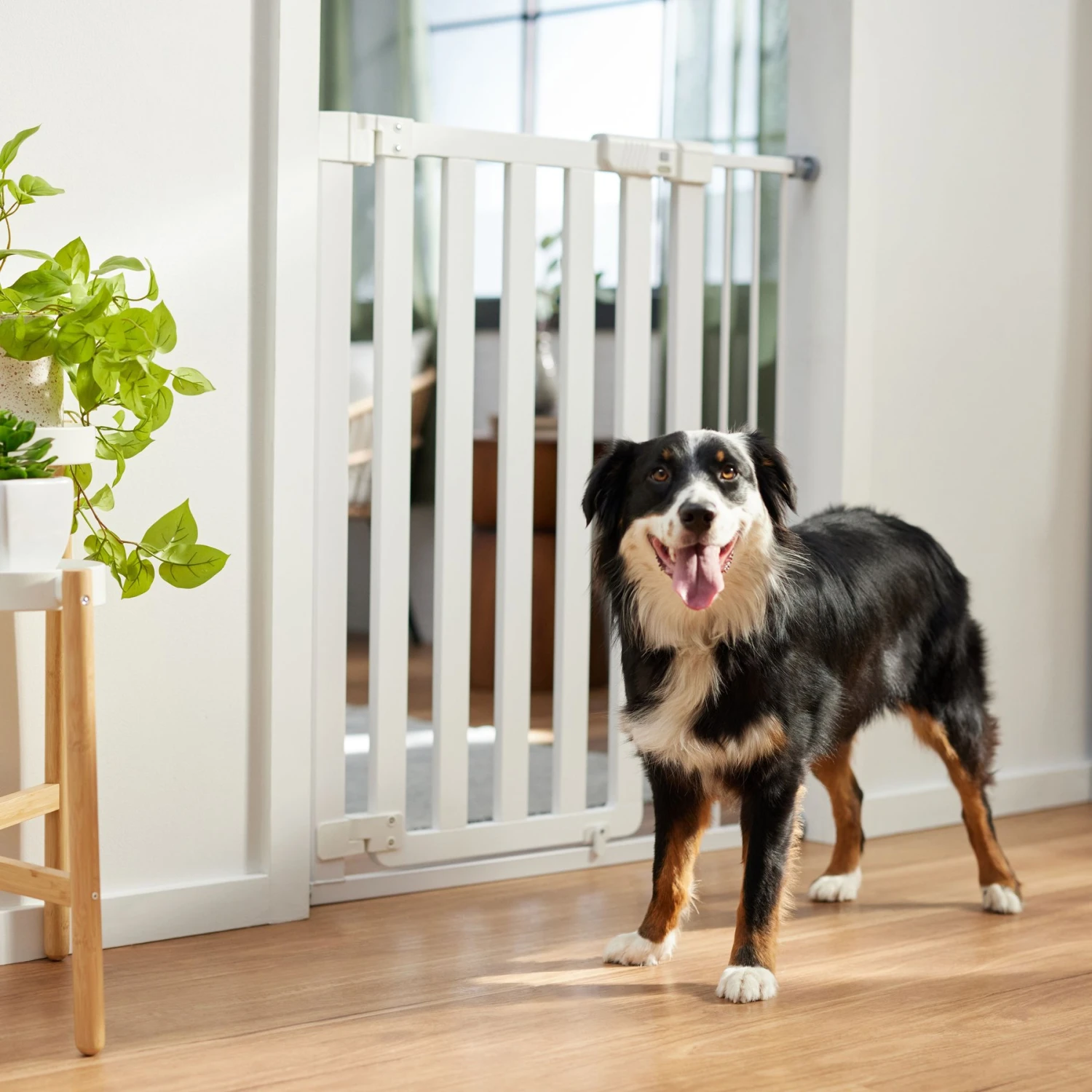 Frisco Wood & Metal Extra Tall Auto-close Dog Gate