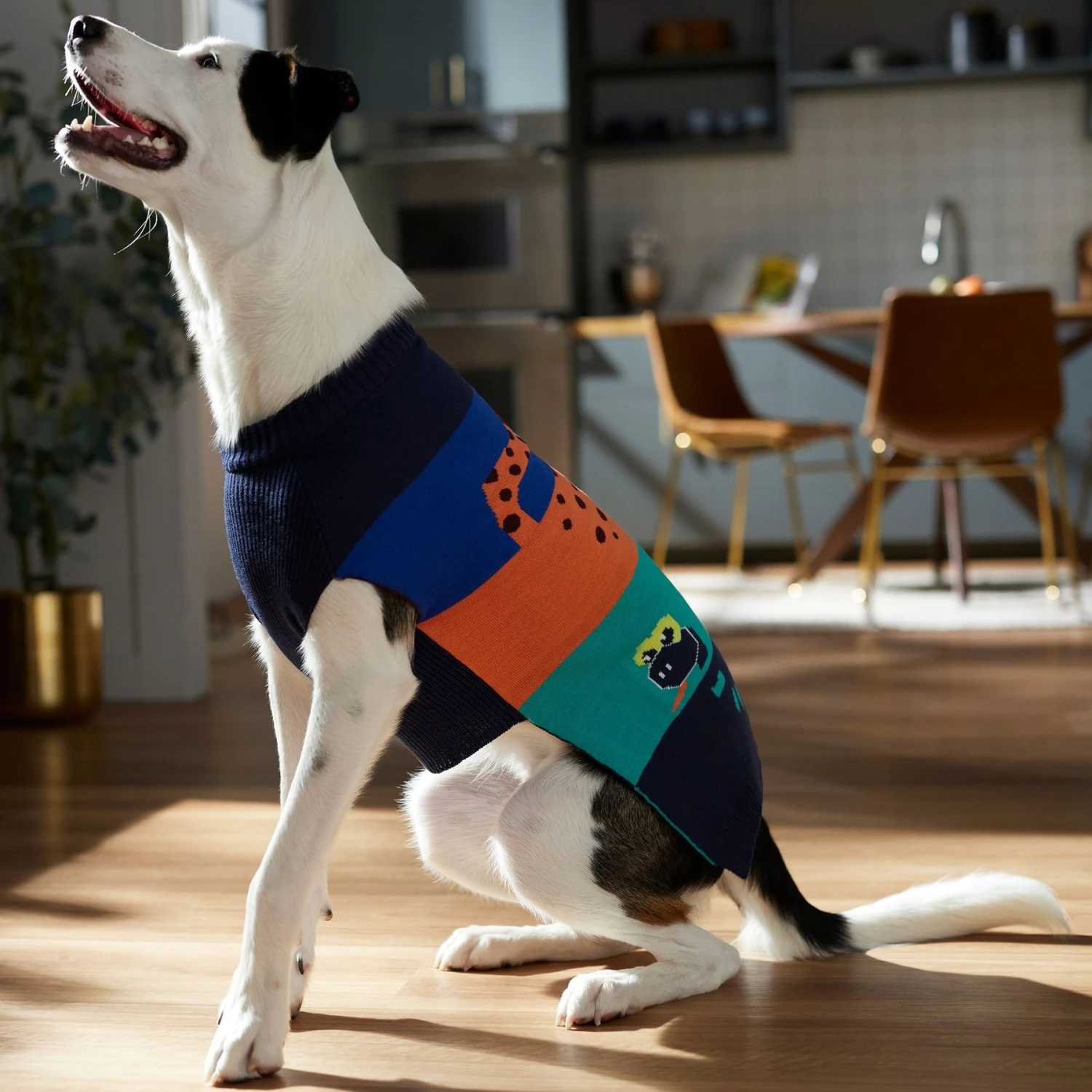 Frisco Anaconda Cheetah Colorblock Dog & Cat Sweater - Image 6