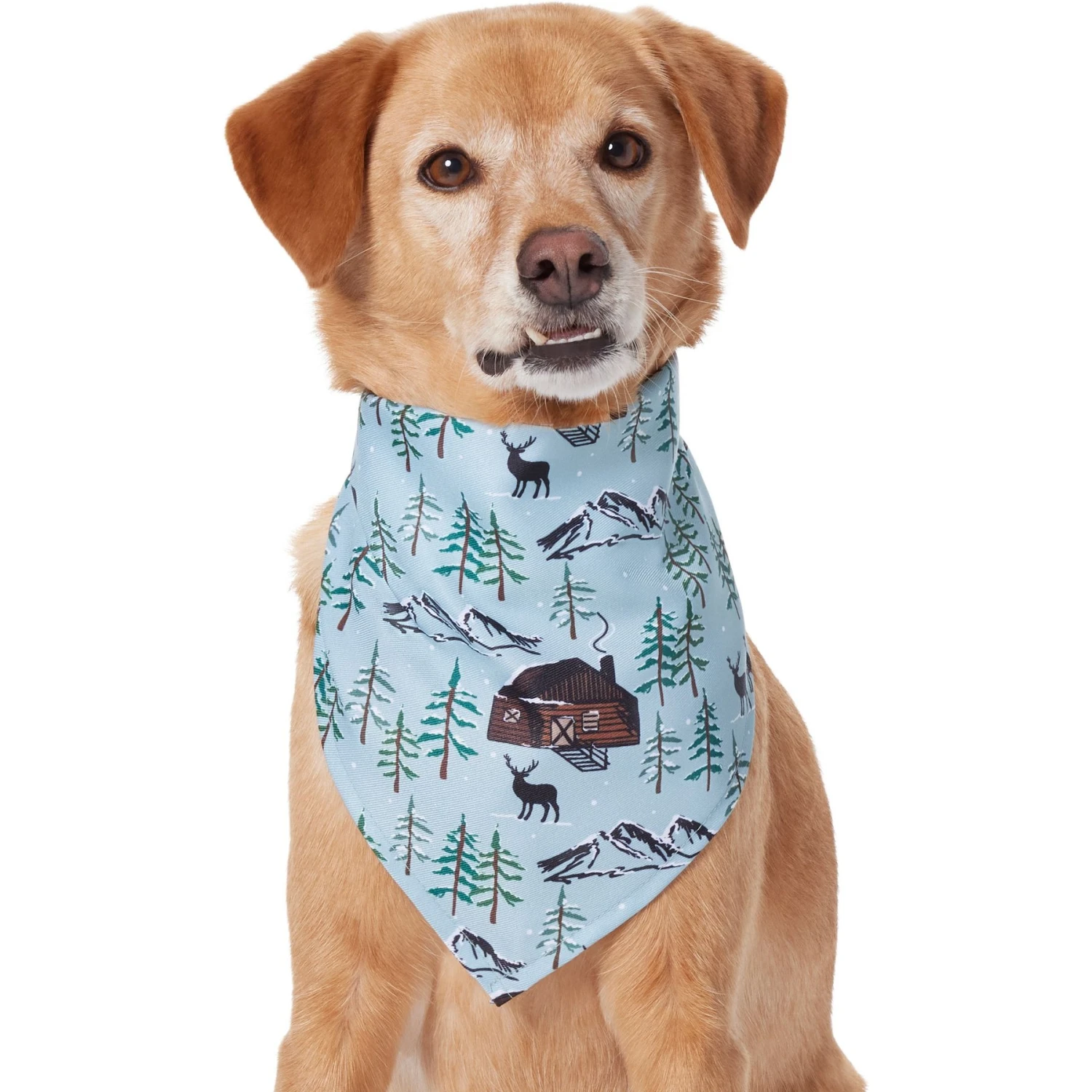 Frisco Moose Lodge Dog & Cat Bandana - Image 3