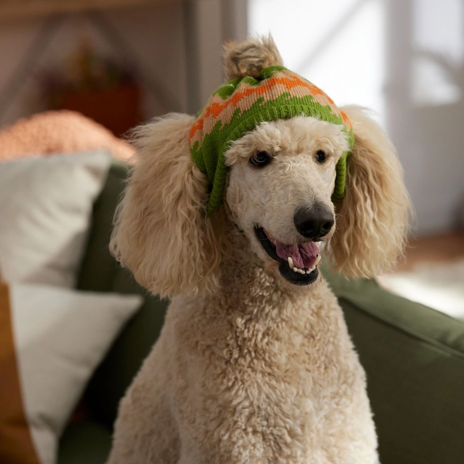 Frisco Striped Poof Dog & Cat Knitted Hat - Image 5