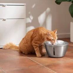 Frisco Stainless Steel Heart Dog & Cat Fountain