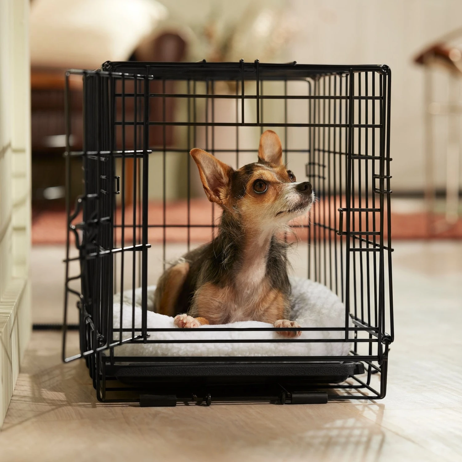 Frisco Adjustable Electrical Dog & Cat Heated Crate Mat With Timer - Image 6