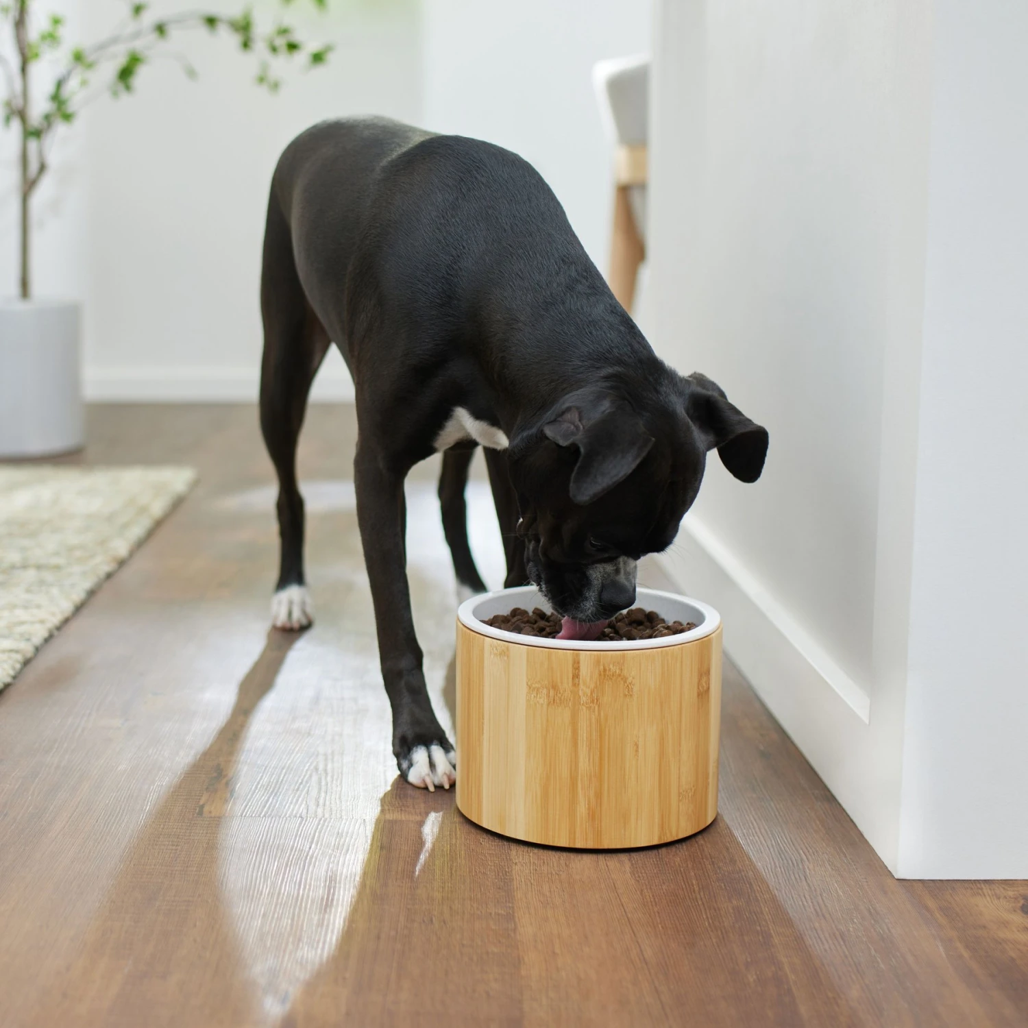 Frisco Elevated Non-Skid Bamboo Melamine Dog Bowl With Bamboo Stand - Image 2