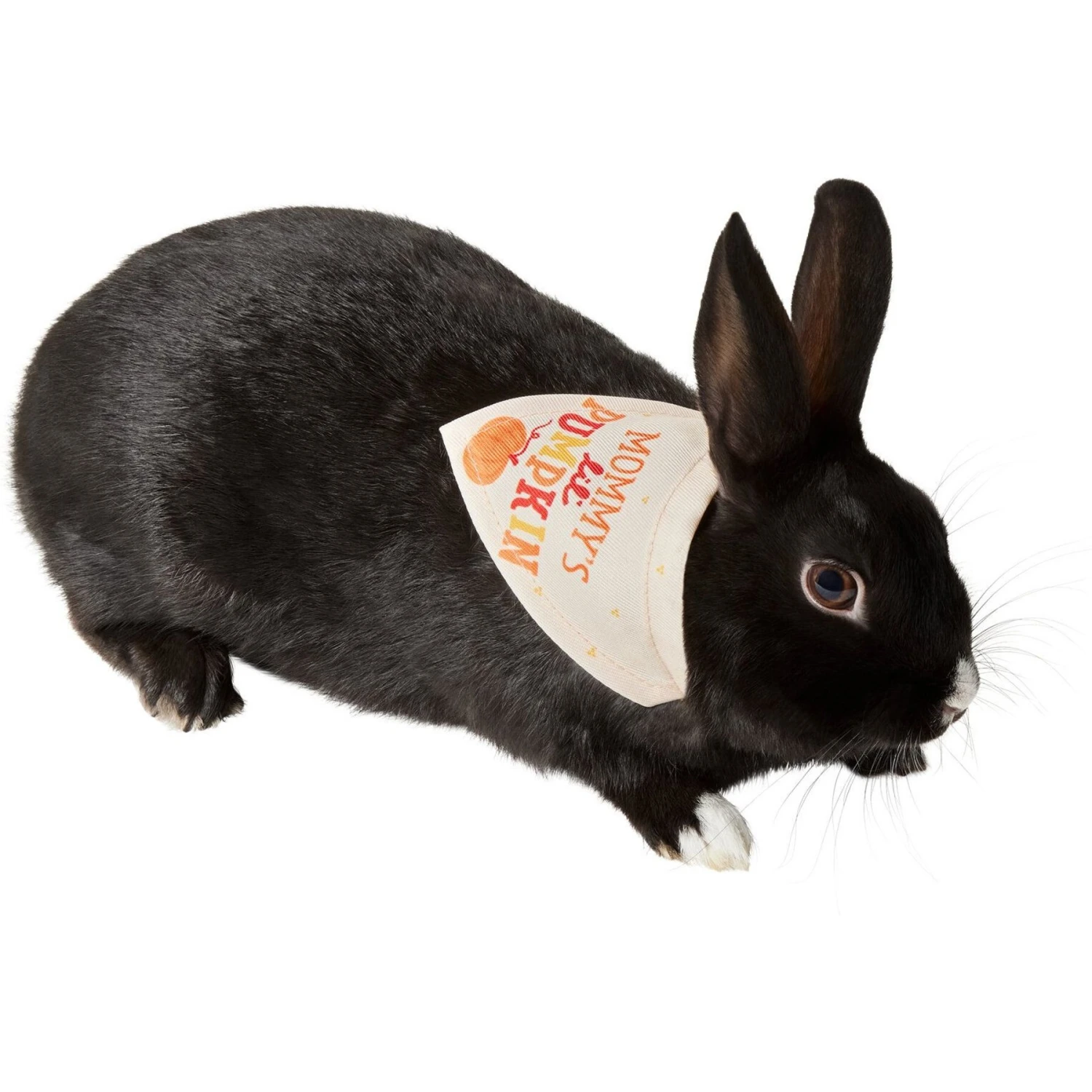 Frisco Mommy's Lil Pumpkin Small Pet Bandana