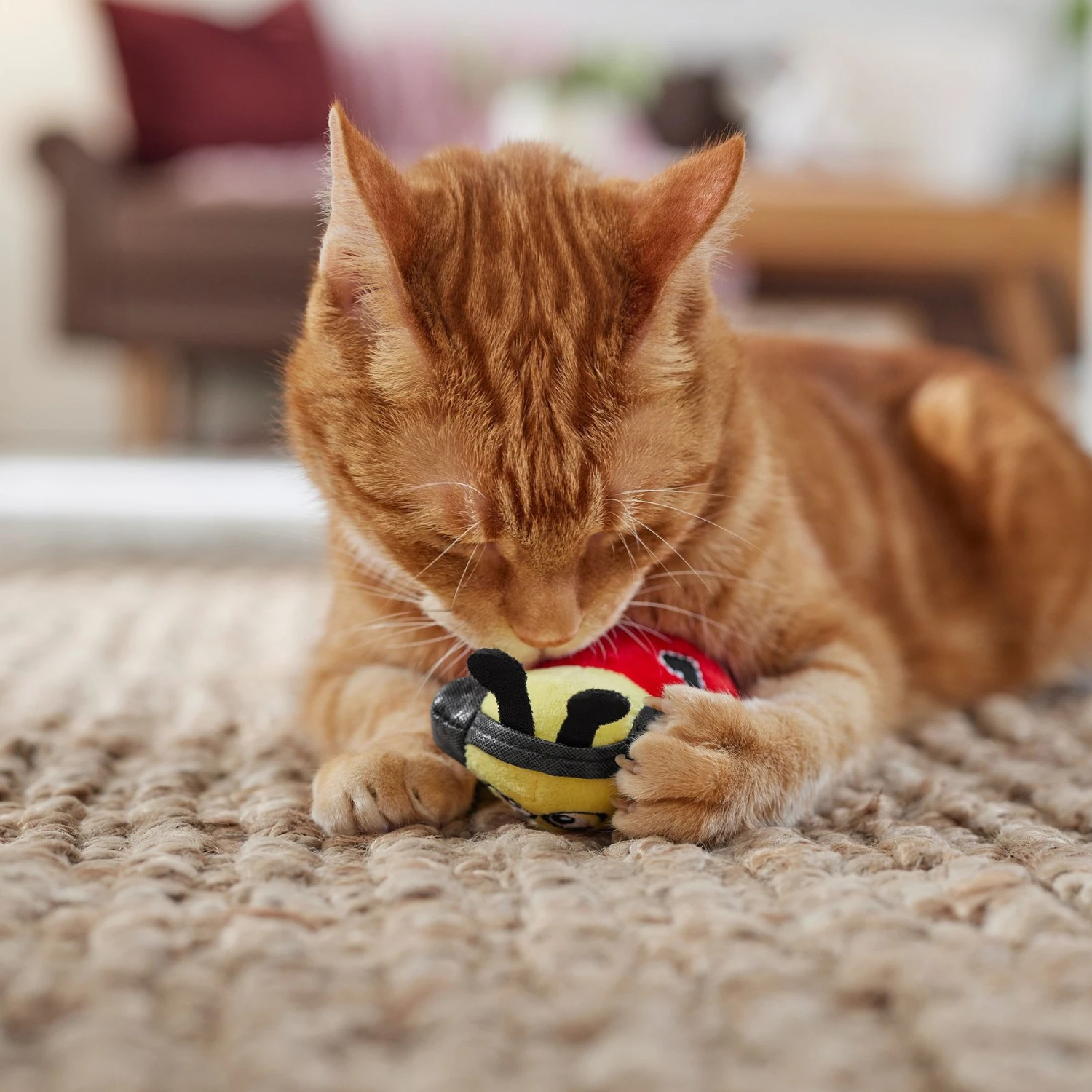 Frisco Valentine Jammin' Ladybug Plush Cat Toy With Catnip - Image 4