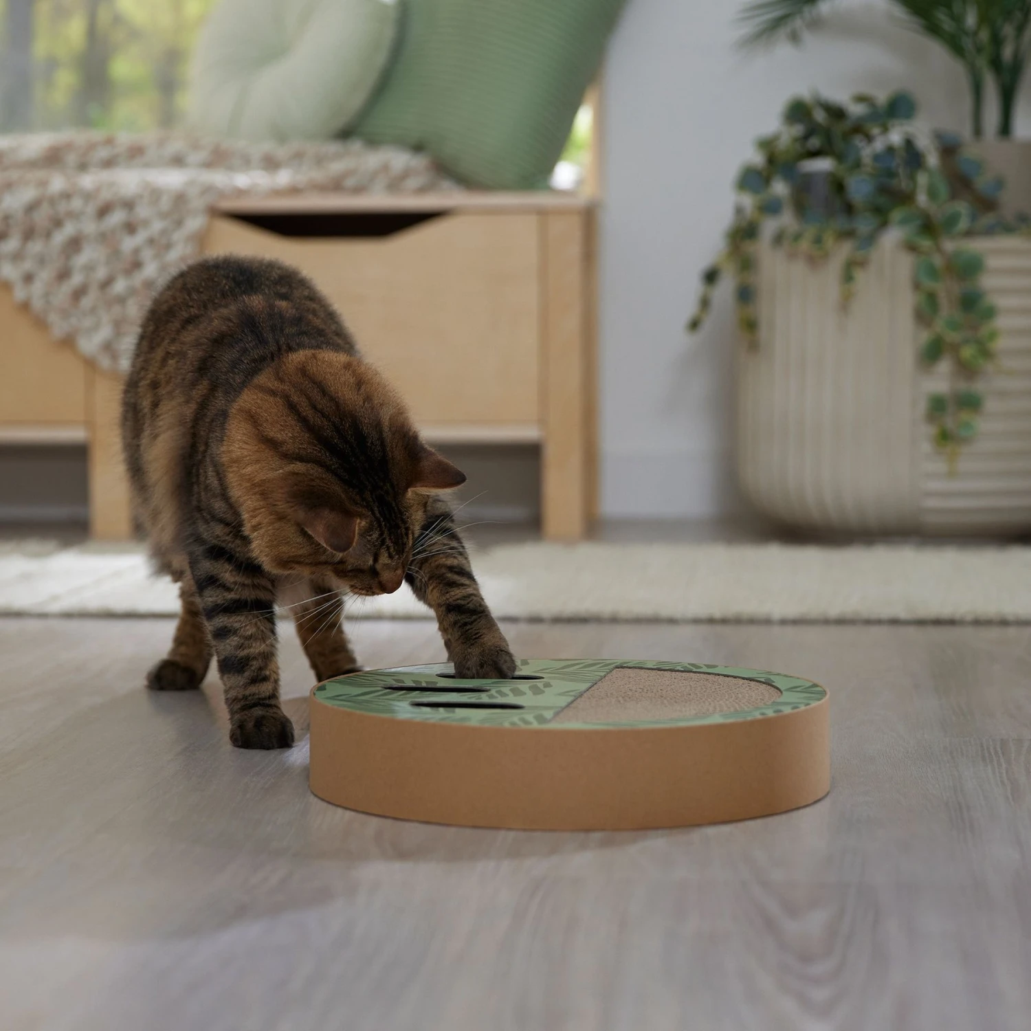 Frisco Interactive Maze & Scratch Cardboard Cat Toy Box With Catnip, Palms - Image 5