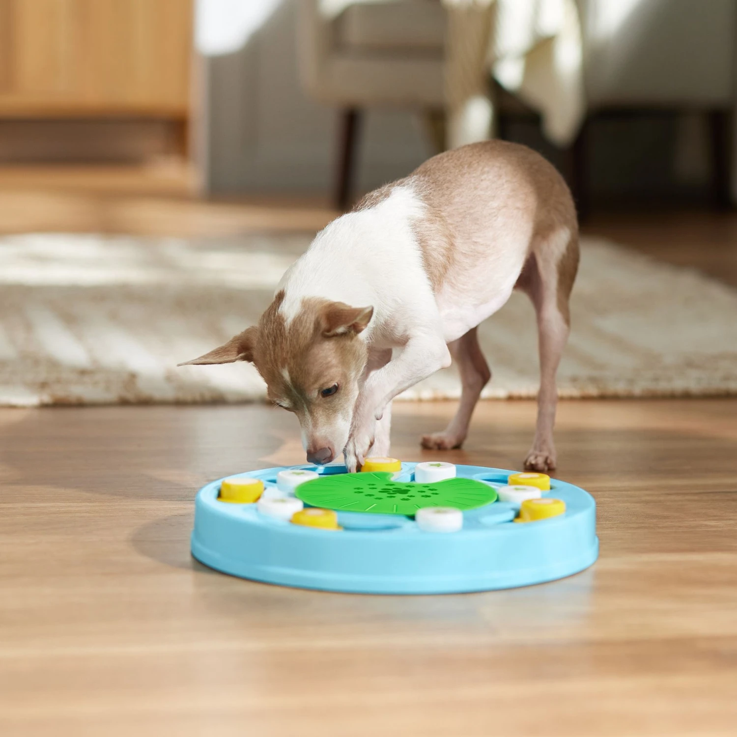 Frisco Seek & Discover Interactive Puzzle Dog Toy, Moderate - Image 6