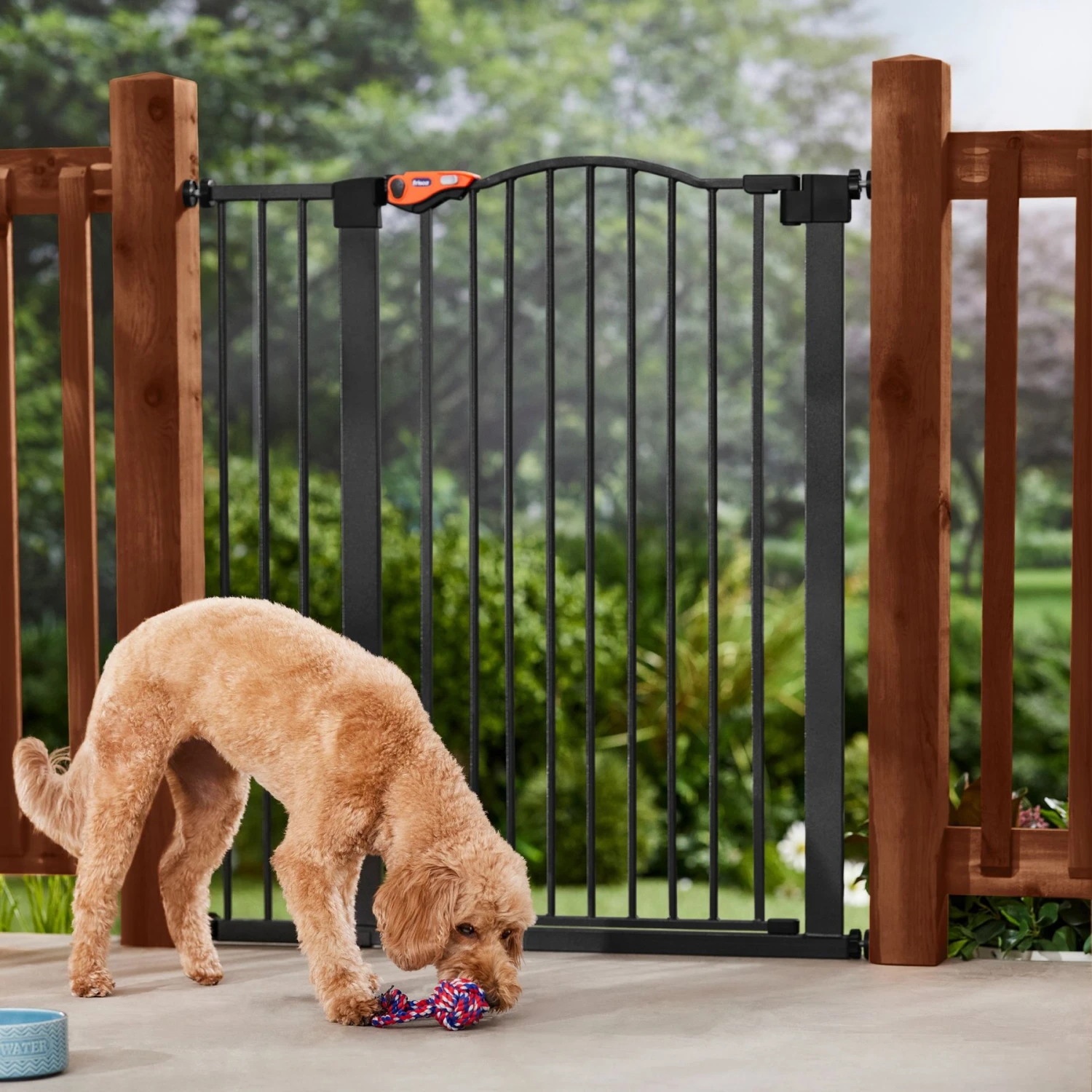 Frisco Outdoor Steel Arch Extra Tall Auto-Close Dog Gate