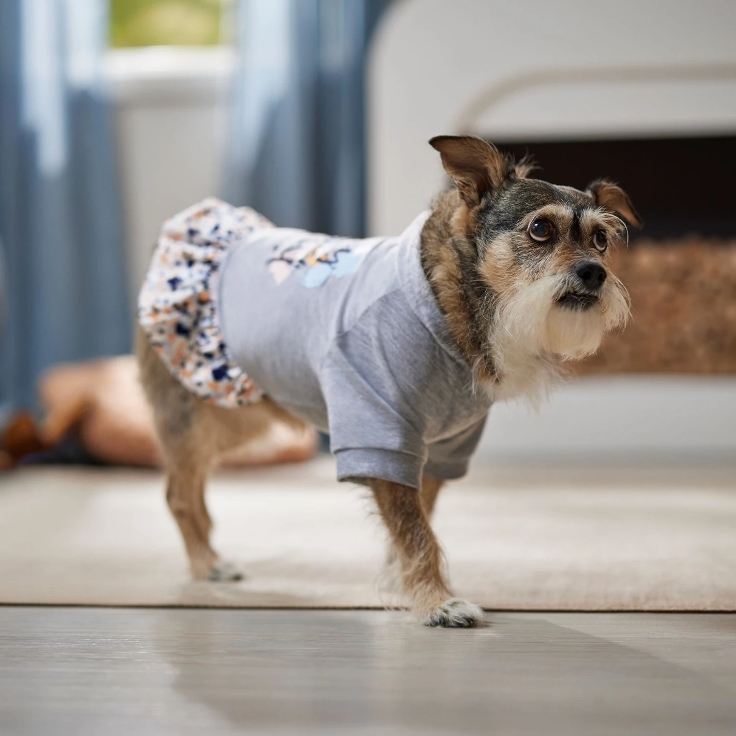 Frisco Stay Wild Dog & Cat Hoodie - Image 7