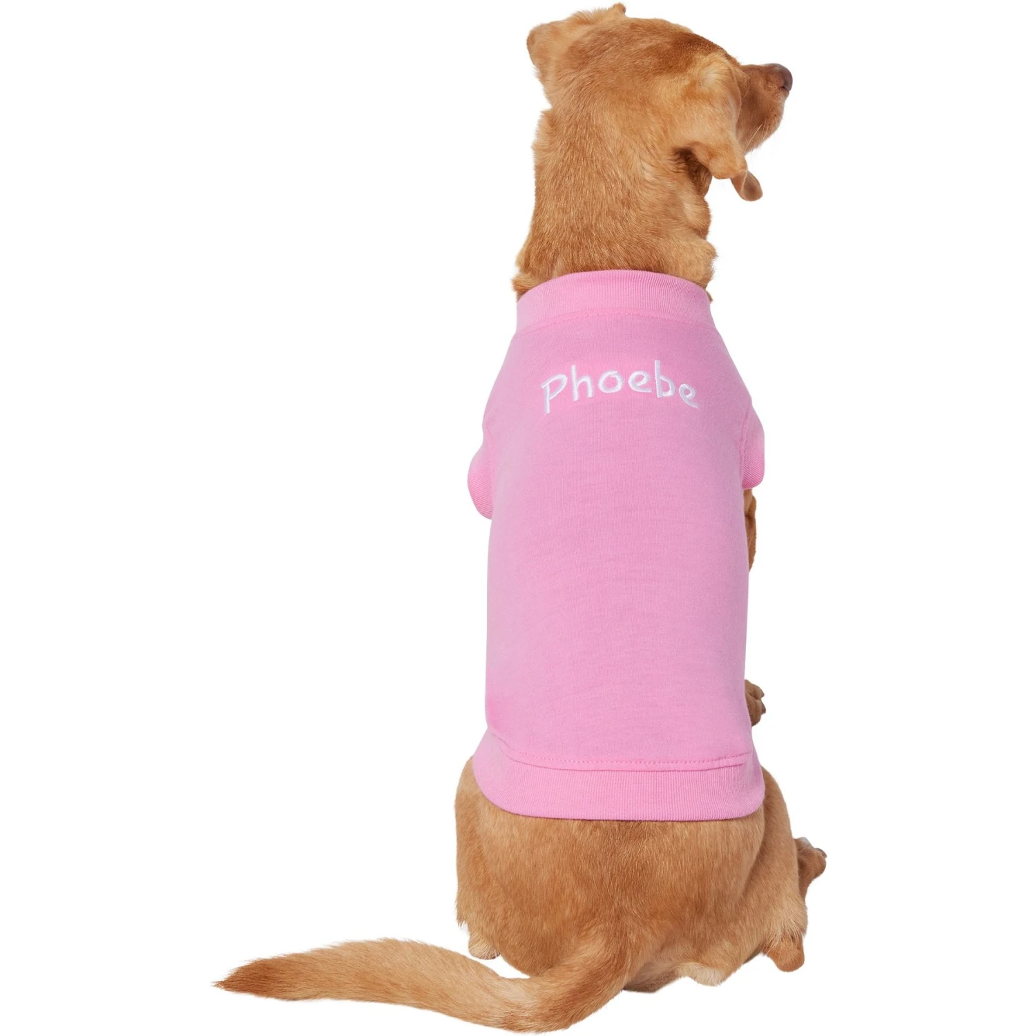 Frisco Personalized Basic Dog & Cat T-Shirt - Image 3
