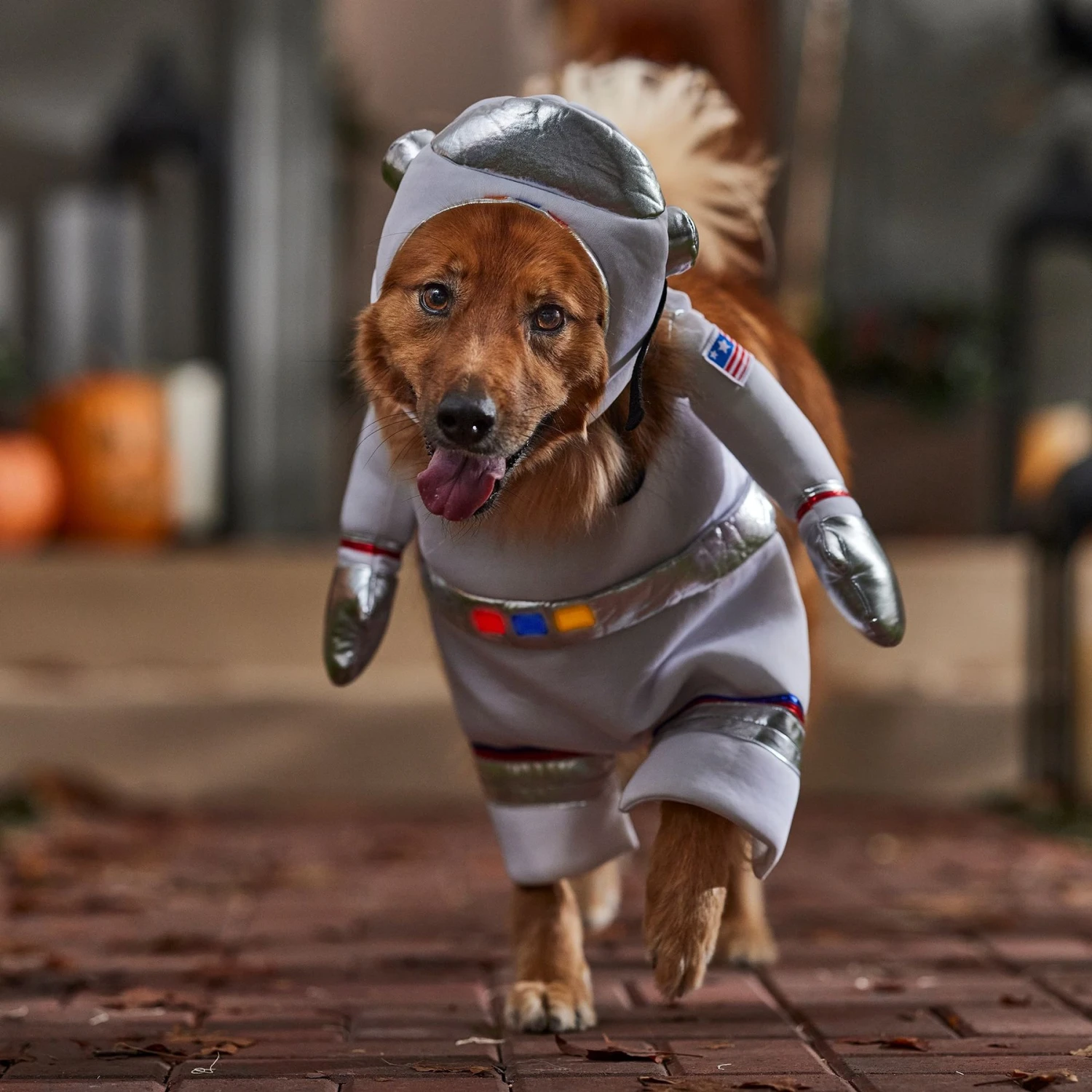 Frisco Front Walking LED Astronaut Dog & Cat Costume - Image 7