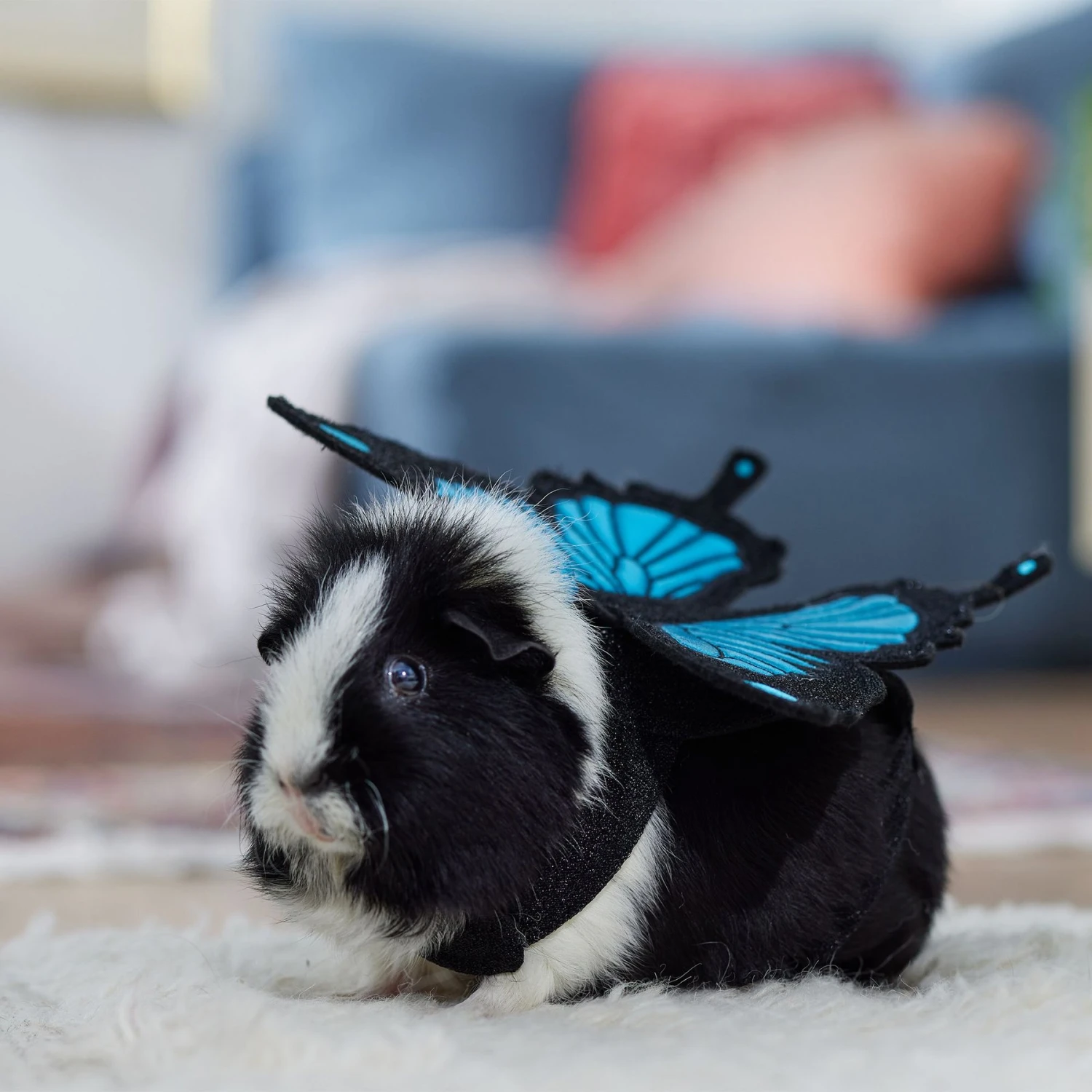 Frisco Small Pet Butterfly Wings - Image 6