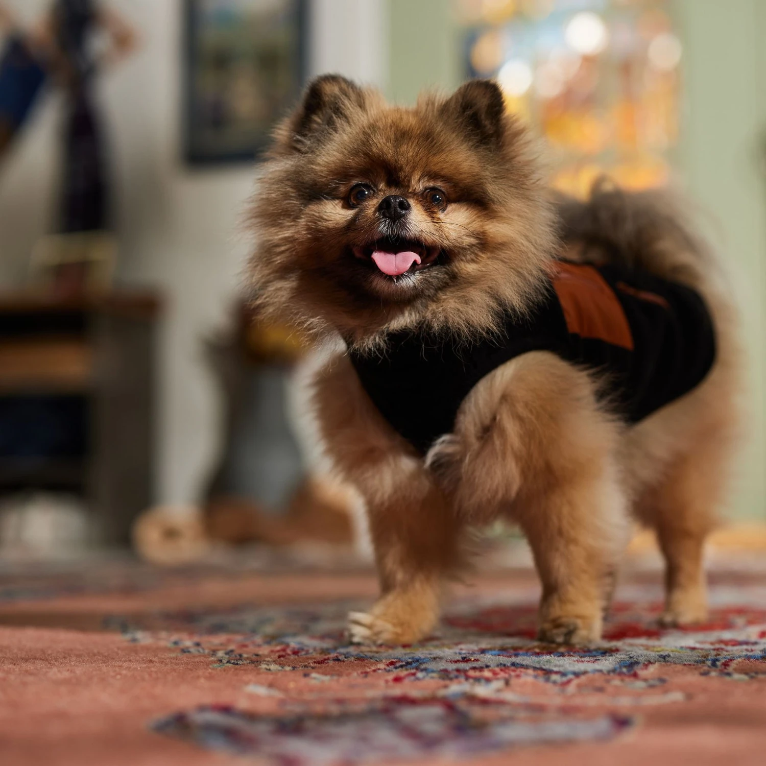 Frisco Light Weight Leopard Print Lined Fleece Dog & Cat Vest - Image 7