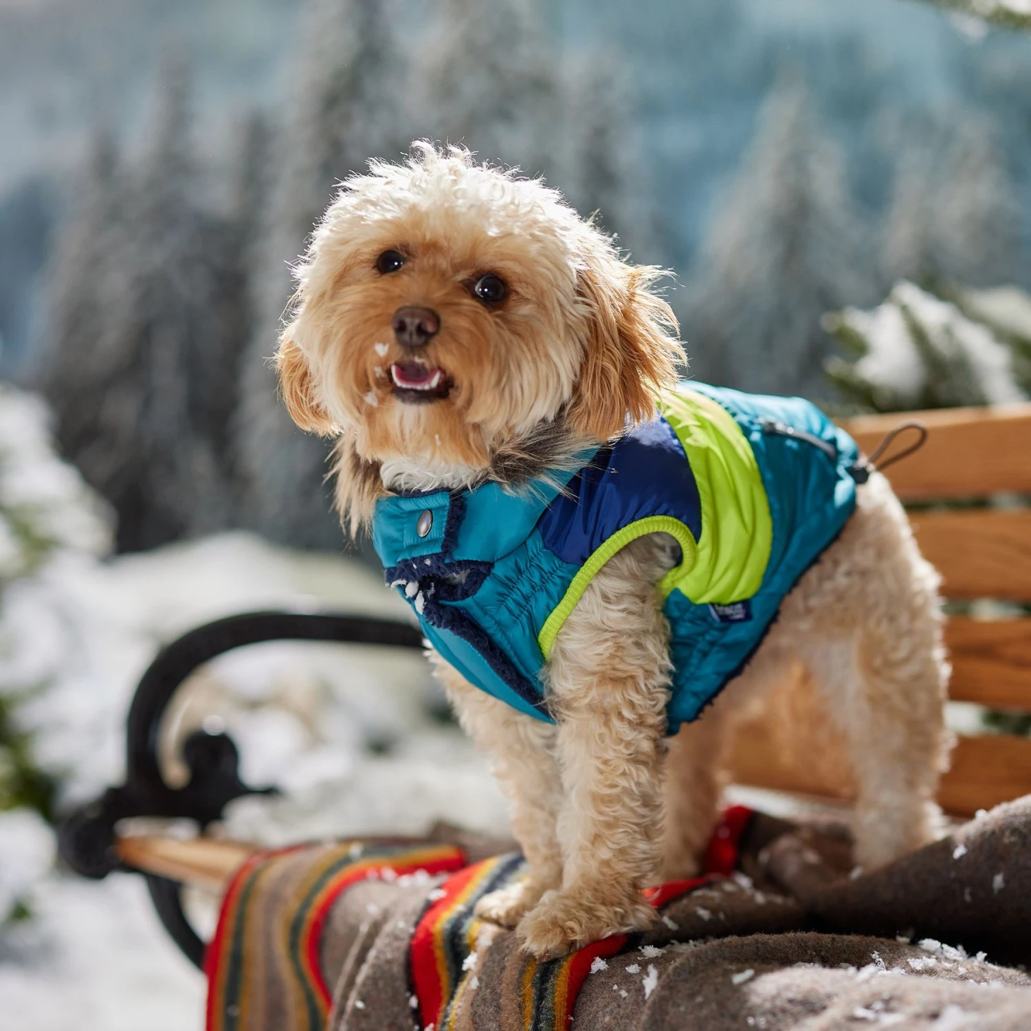 Frisco Heavy Weight Urban City Colorblock Dog & Cat Parka With Sherpa Lining - Image 7