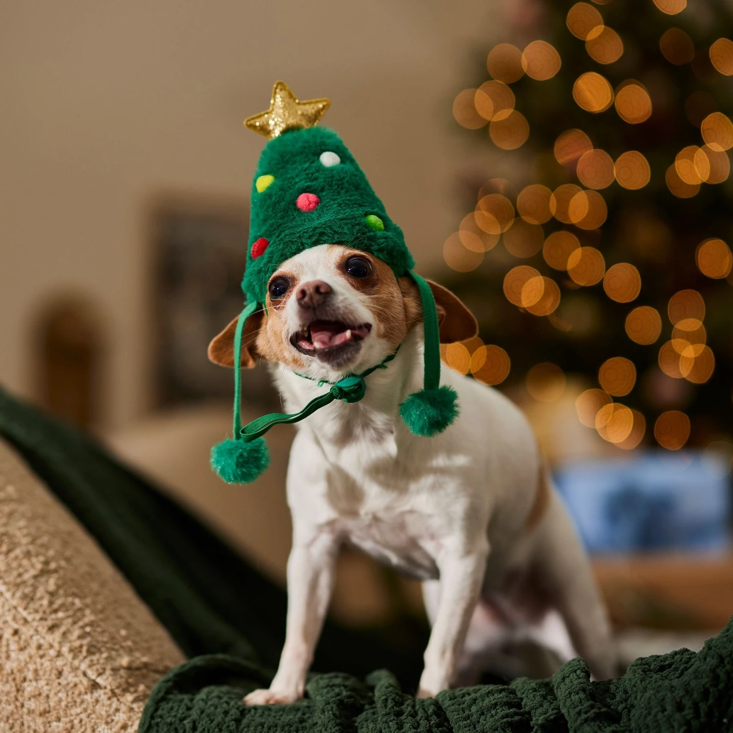 Frisco Christmas Tree Faux Fur Dog & Cat Hat - Image 6