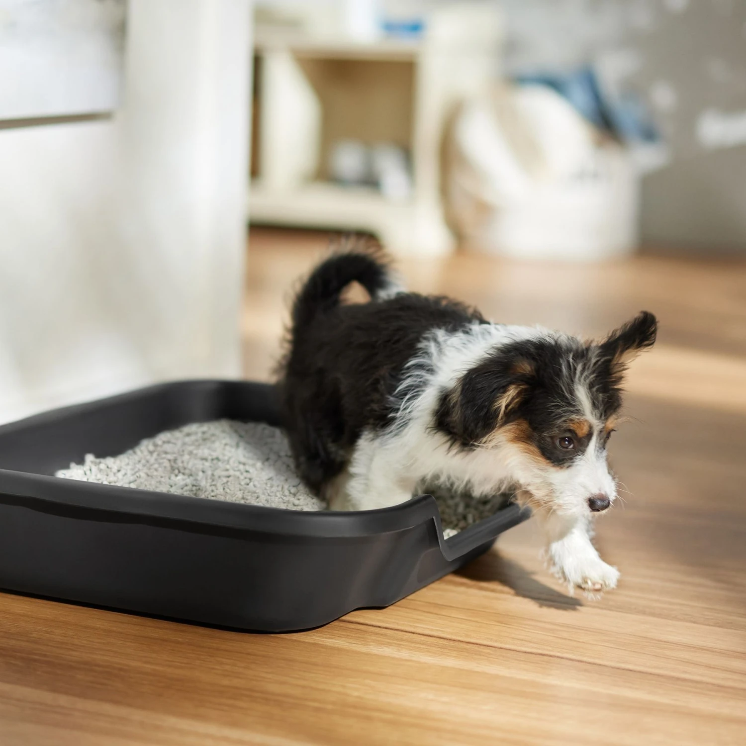 Frisco Paper Pellet Dog Litter - Image 4