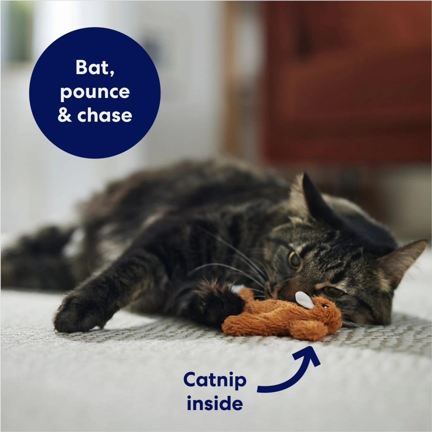 Frisco Squirrel Plush Cat Toy With Refillable Catnip & Frisco Bird With Feathers Teaser Wand Cat Toy With Catnip - Image 4