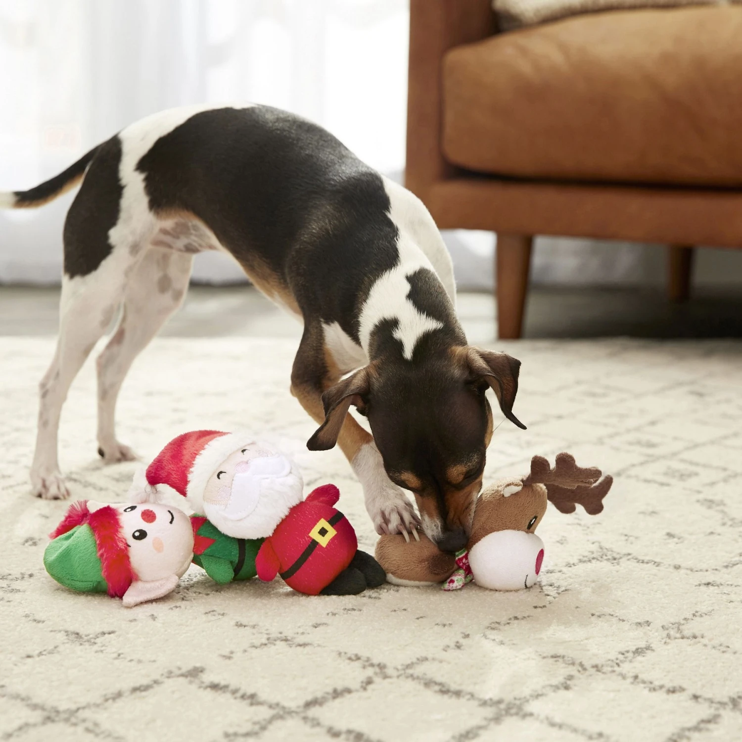 Frisco Holiday Santa's Helpers Plush Squeaky Dog Toy, 3 Count & Frisco Holiday Lights Plush With Rope Squeaky Dog Toy - Image 4